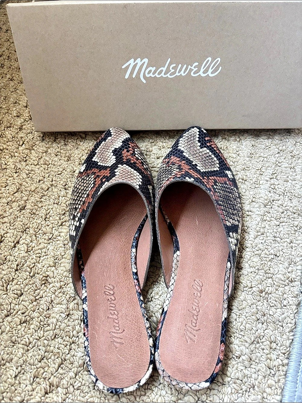 Madewell The Remi Mule in Snake Embossed Leather Snake-Embossed Leather Flats